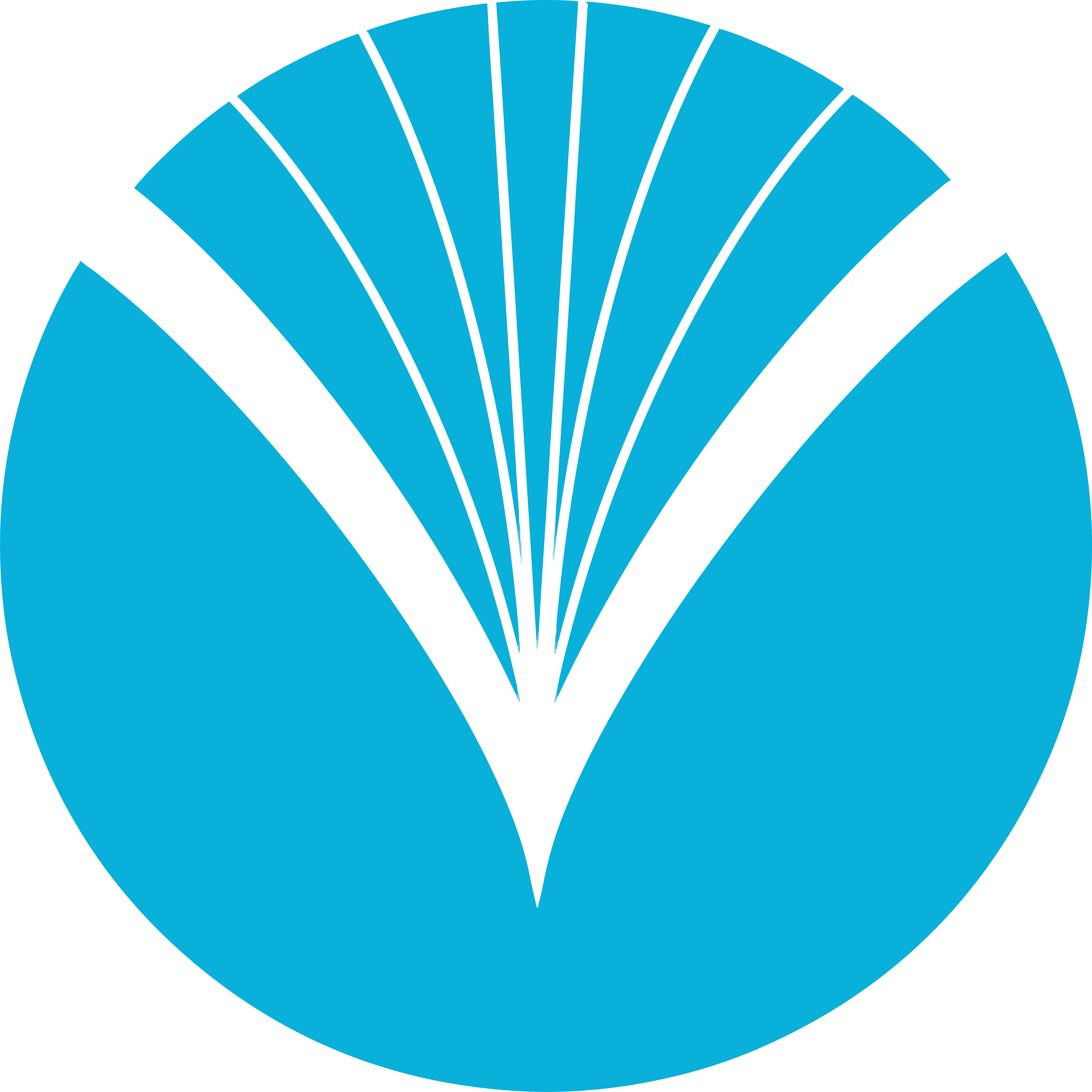 Vibrancy Portal Logo